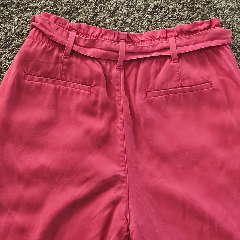 Ann Taylor Factory Belted High Rise Ankle Pants Red Size 10 - Picture 7 of 9